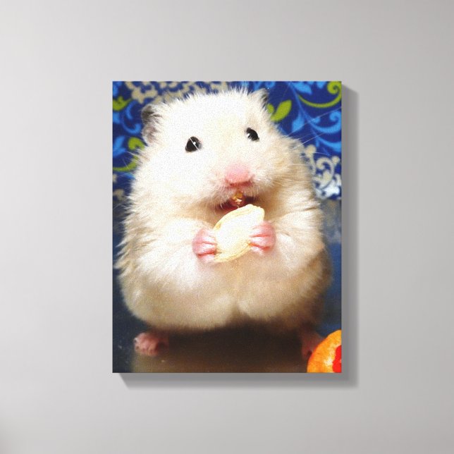 Fluffy Syrian Hamster Kokolinka Canvas Print (Front)