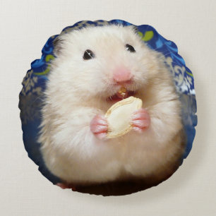 Fluffy syrian hamster Kokolinka eating a seed Round Cushion