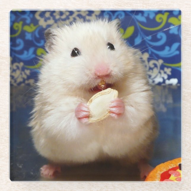 Fluffy Syrian Hamster Kokolinka Glass Coaster (Front)