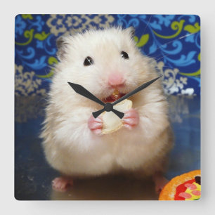 Fluffy Syrian Hamster Kokolinka Square Wall Clock