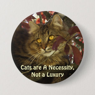 Fluffy TABBY CAT Pet Lover Buttons