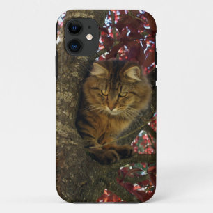 Fluffy Tabby Cat Pet-lovers iPhone 5 Case