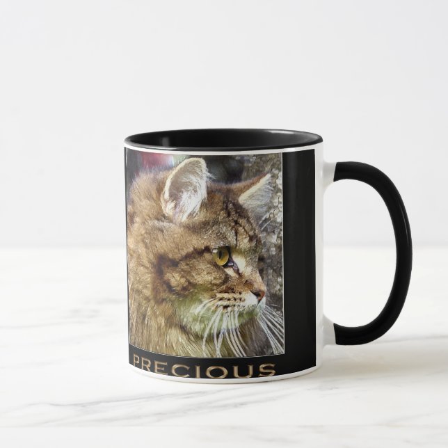 Fluffy TABBY KITTEN Gift Mugs (Right)