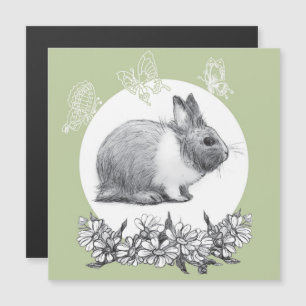 Fluffy the rabbit. Pencil drawing