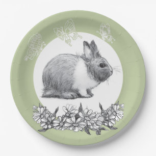 Fluffy the rabbit. Pencil drawing. Paper Plate