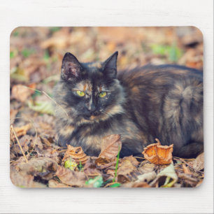Fluffy Tortoiseshell Kitty in Autumn Mouse Mat