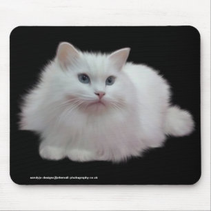 Fluffy White Cat Mouse Mat