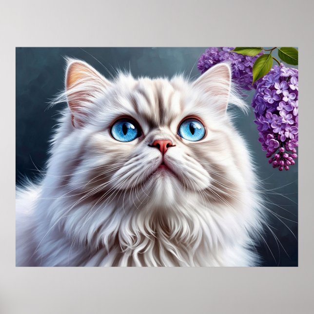 Fluffy White Cat With Blue Eyes Poster (Front)