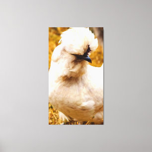 Fluffy White Chicken in Field Canvas Print