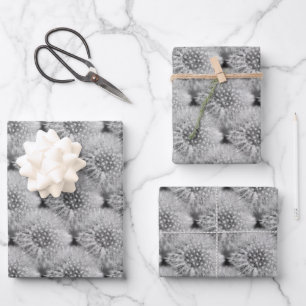 Fluffy White Dandelions Nature Pattern Wrapping Paper Sheet