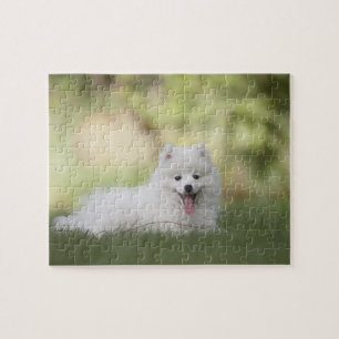 Fluffy White Keeshond Puppy Jigsaw Puzzle