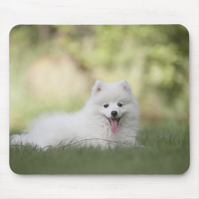 Fluffy White Keeshond Puppy Mouse Mat (Front)