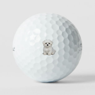 Fluffy White Maltese Puppy Portrait Cute Dog Lover Golf Balls
