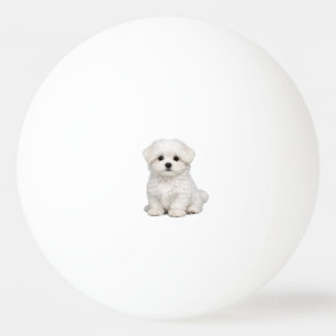 Fluffy White Maltese Puppy Portrait Cute Dog Lover Ping Pong Ball