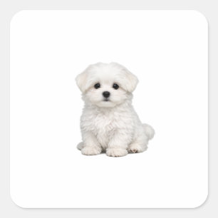 Fluffy White Maltese Puppy Portrait Cute Dog Lover Square Sticker