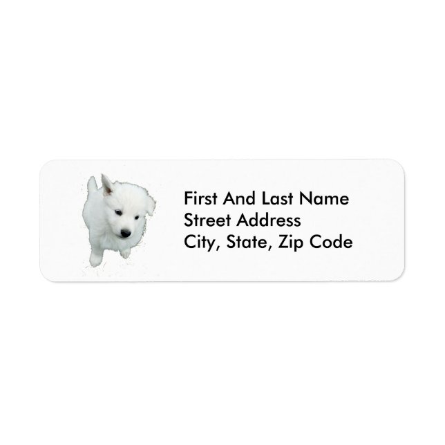 Fluffy White Puppy Photograph (Front)