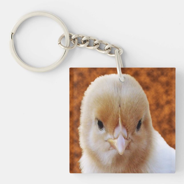 Fluffy Yellow Baby Chicken, Key Ring (Front)
