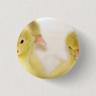 Fluffy Yellow Ducklings 3 Cm Round Badge