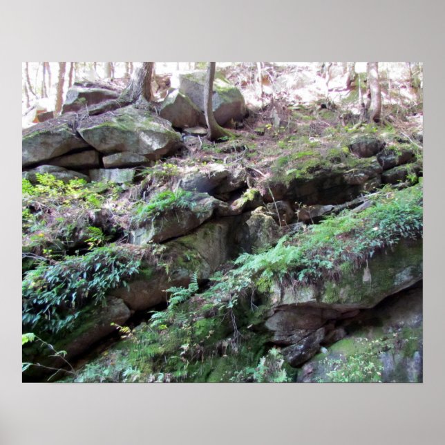 Flume Gorge Poster (Front)
