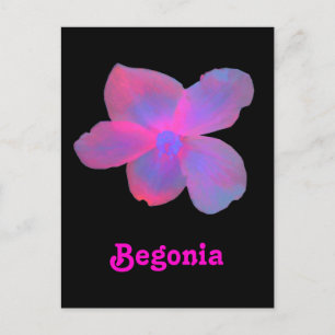 Fluorescent Begonia Customisable Postcard