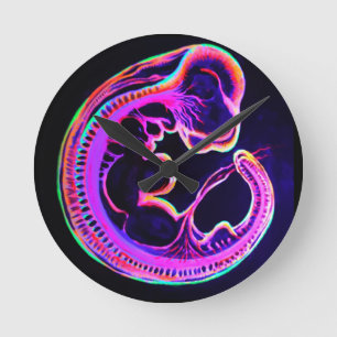 Fluorescent embryo glowing in the dark round clock