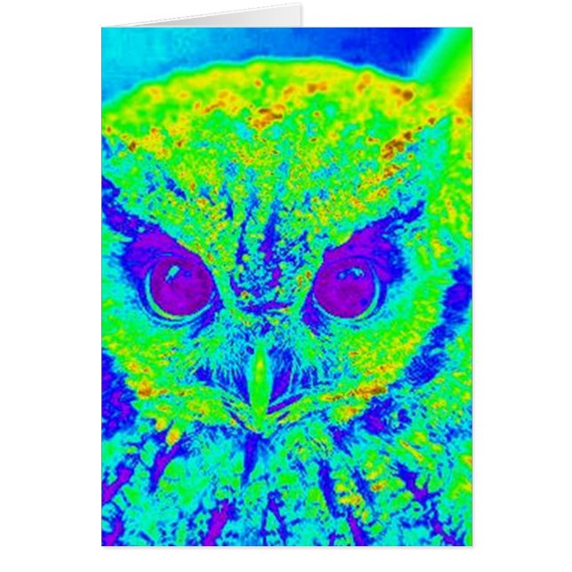 fluorescent owl (Front)