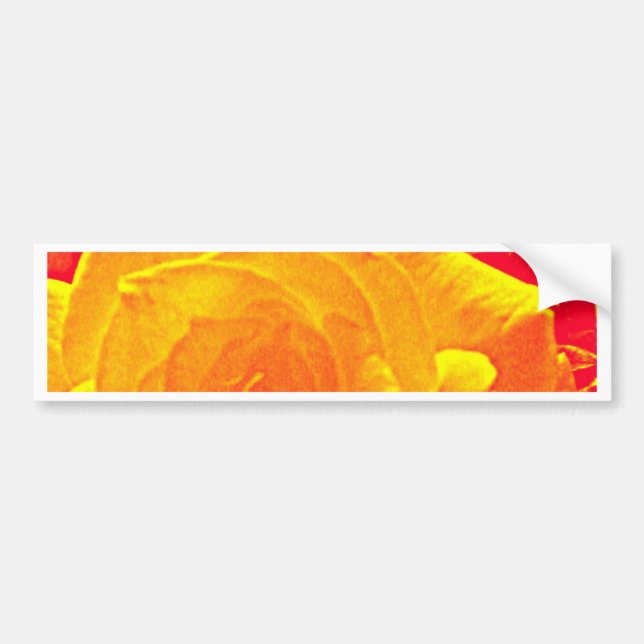 fluorescent rose orange bumper sticker (Front)