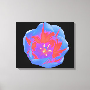 Fluorescent Tulip Canvas Print