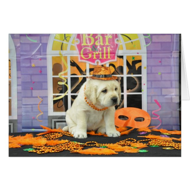 Flurry Week 5 Photo (Front Horizontal)