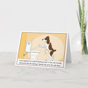 Flushing Springer Spaniel card