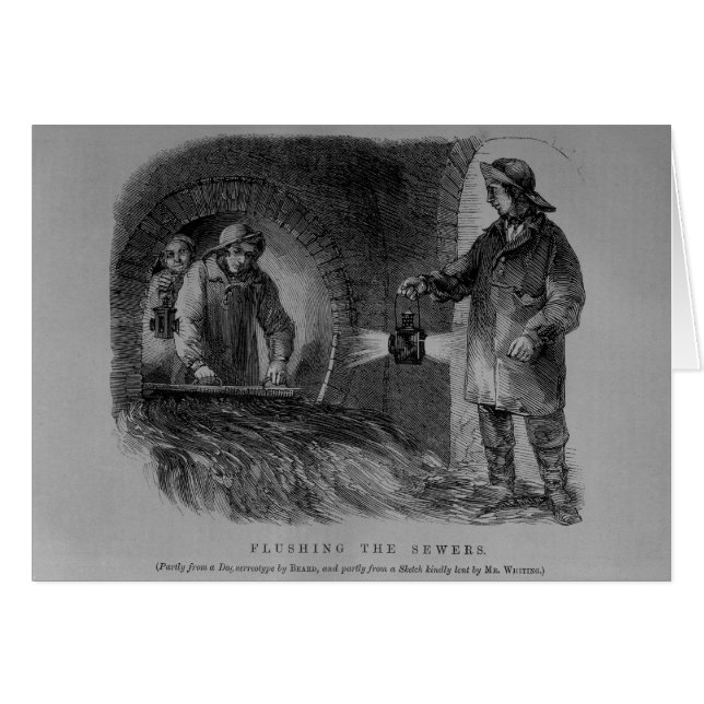 Flushing the Sewers (Front Horizontal)