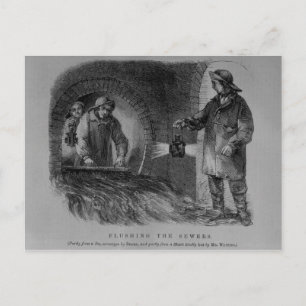 Flushing the Sewers Postcard