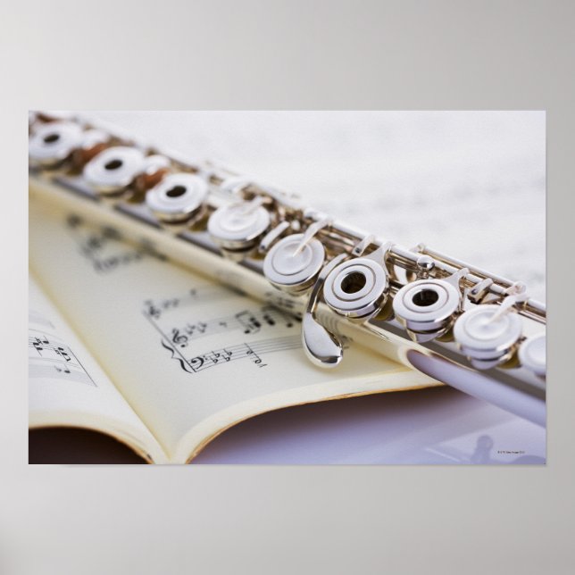 Flute 2 poster (Front)