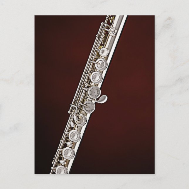 Flute Flautist Musician Postcard (Front)