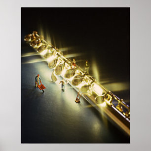 Flute or Flautist Poster