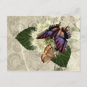 Flutter Magic Postcard