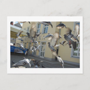 Flutter Postcard
