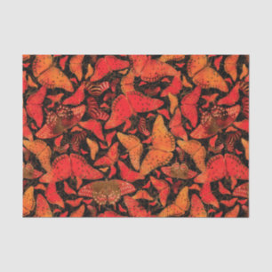 Flutterby Fall Butterflies on Black Tissue Paper