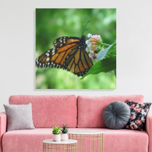Fluttering Monarch Butterfly Canvas Print