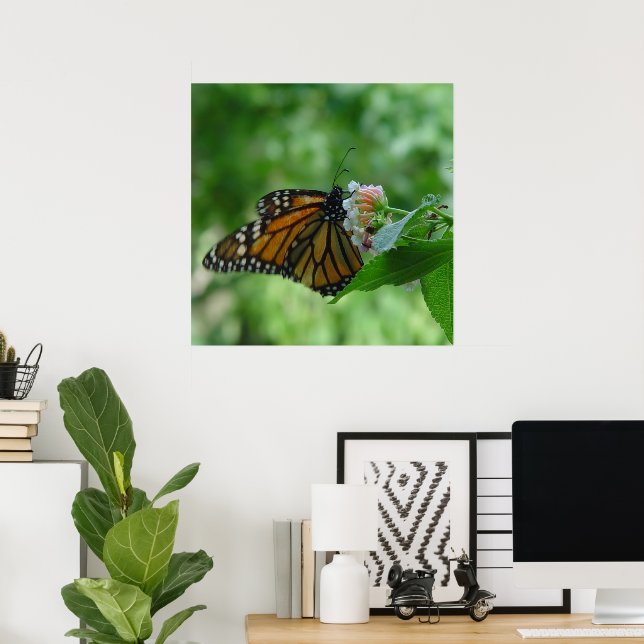Fluttering Monarch Butterfly on Flower Poster (Home Office)