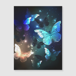 Fluttering Night Butterfly