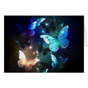 Fluttering Night Butterfly