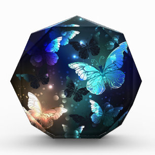 Fluttering Night Butterfly Photo Block
