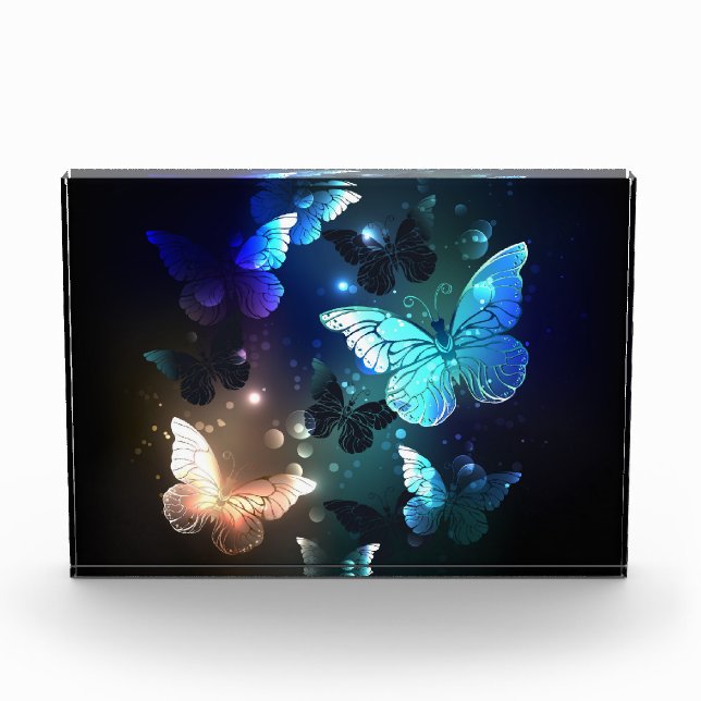 Fluttering Night Butterfly Photo Block (Front)