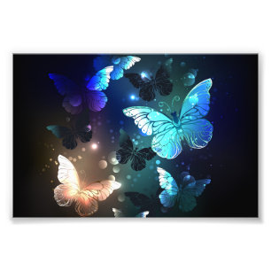 Fluttering Night Butterfly Photo Print