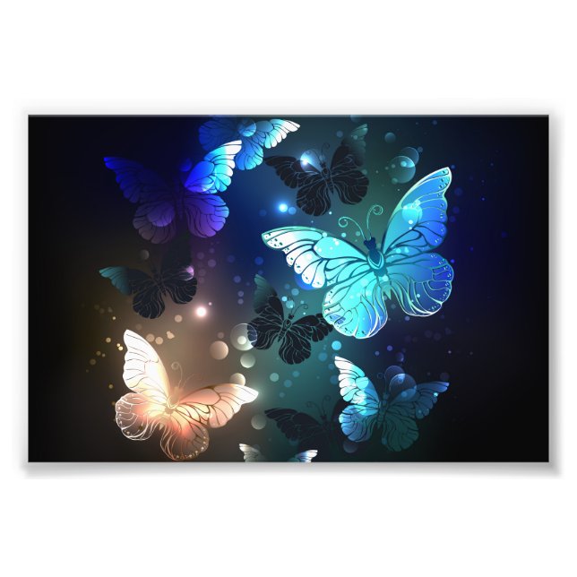 Fluttering Night Butterfly Photo Print (Front)