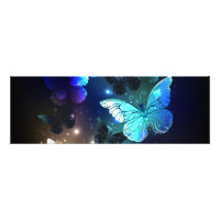 Fluttering Night Butterfly