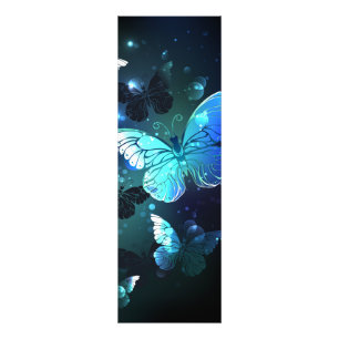 Fluttering Night Butterfly Photo Print