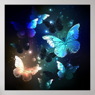 Fluttering Night Butterfly Poster