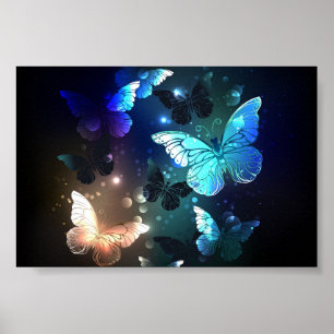 Fluttering Night Butterfly Poster